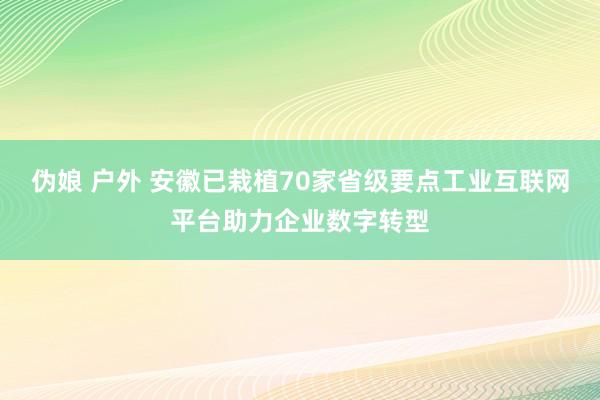 伪娘 户外 安徽已栽植70家省级要点工业互联网平台助力企业数字转型
