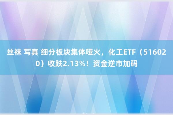 丝袜 写真 细分板块集体哑火，化工ETF（516020）收跌2.13%！资金逆市加码