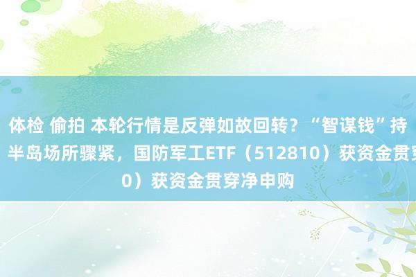 体检 偷拍 本轮行情是反弹如故回转？“智谋钱”持仓曝光！半岛场所骤紧，国防军工ETF（512810）获资金贯穿净申购