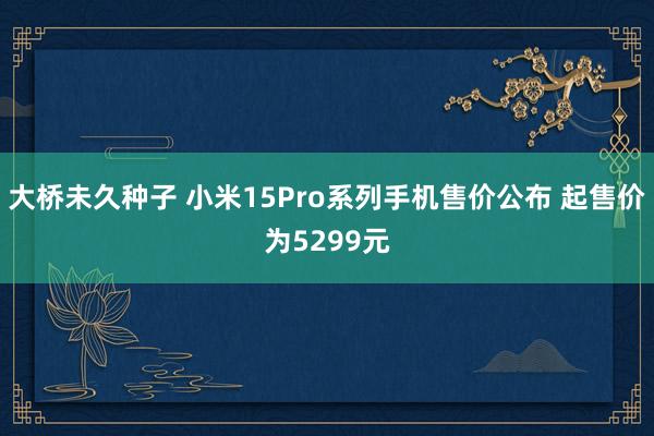 大桥未久种子 小米15Pro系列手机售价公布 起售价为5299元