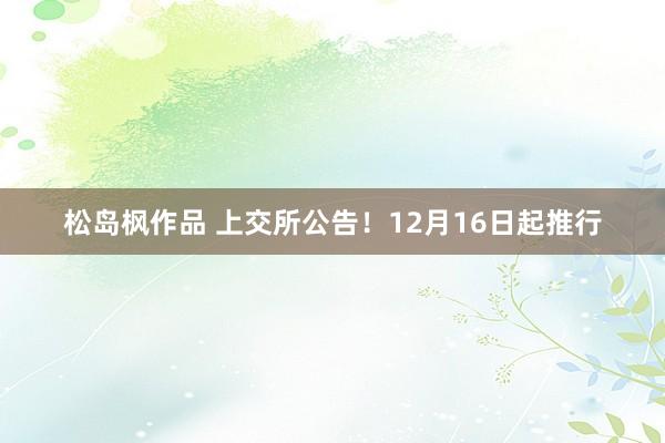 松岛枫作品 上交所公告！12月16日起推行
