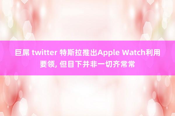 巨屌 twitter 特斯拉推出Apple Watch利用要领， 但目下并非一切齐常常