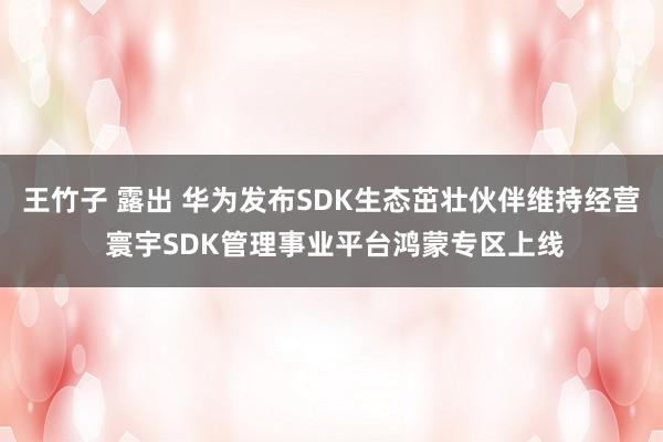 王竹子 露出 华为发布SDK生态茁壮伙伴维持经营 寰宇SDK管理事业平台鸿蒙专区上线