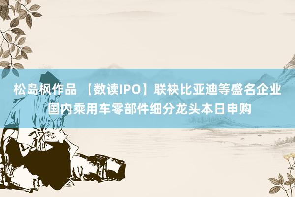 松岛枫作品 【数读IPO】联袂比亚迪等盛名企业 国内乘用车零部件细分龙头本日申购