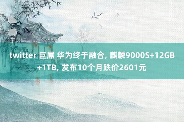 twitter 巨屌 华为终于融合， 麒麟9000S+12GB+1TB， 发布10个月跌价2601元