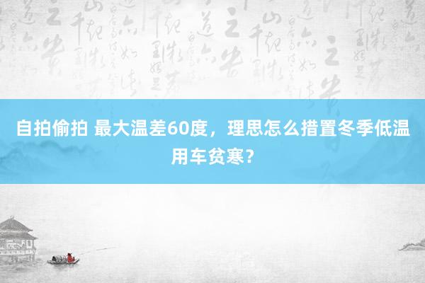 自拍偷拍 最大温差60度，理思怎么措置冬季低温用车贫寒？