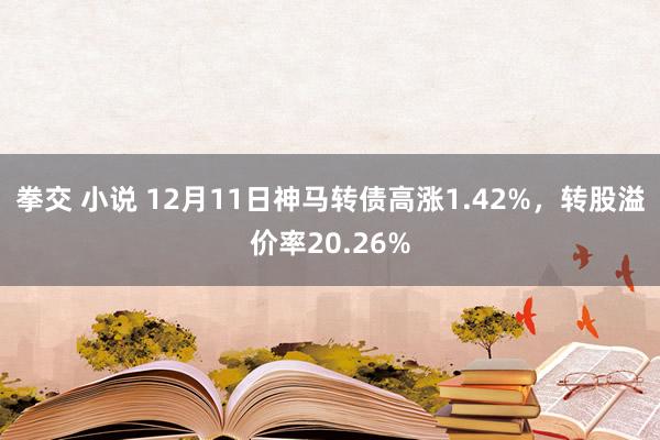 拳交 小说 12月11日神马转债高涨1.42%，转股溢价率20.26%