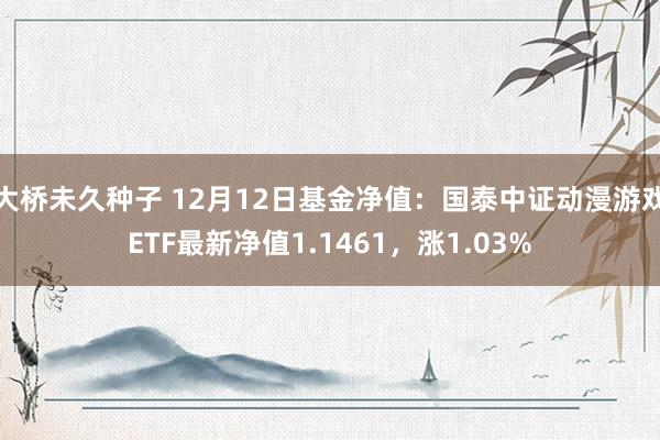 大桥未久种子 12月12日基金净值：国泰中证动漫游戏ETF最新净值1.1461，涨1.03%