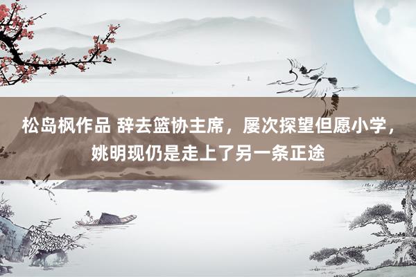 松岛枫作品 辞去篮协主席，屡次探望但愿小学，姚明现仍是走上了另一条正途