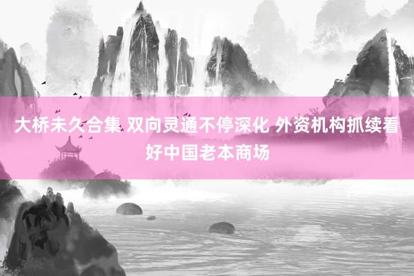 大桥未久合集 双向灵通不停深化 外资机构抓续看好中国老本商场