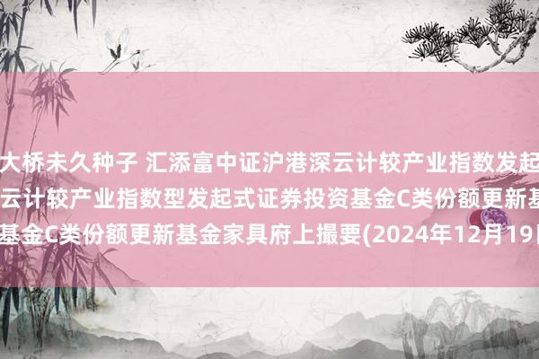 大桥未久种子 汇添富中证沪港深云计较产业指数发起式C: 汇添富中证沪港深云计较产业指数型发起式证券投资基金C类份额更新基金家具府上撮要(2024年12月19日更新)