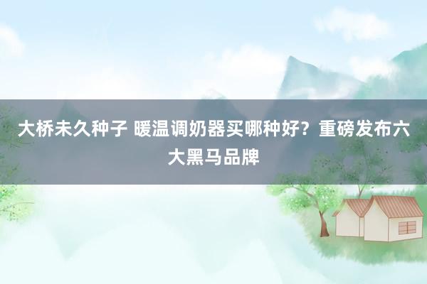 大桥未久种子 暖温调奶器买哪种好？重磅发布六大黑马品牌