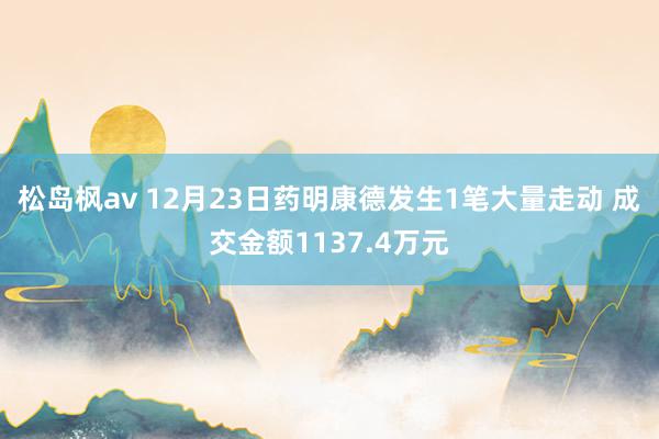 松岛枫av 12月23日药明康德发生1笔大量走动 成交金额1137.4万元