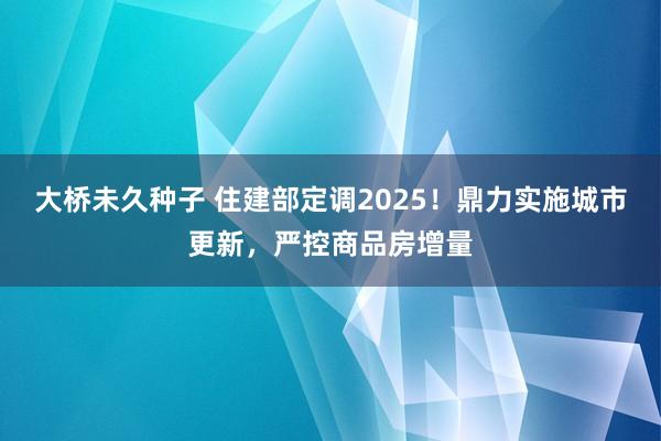 大桥未久种子 住建部定调2025！鼎力实施城市更新，严控商品房增量