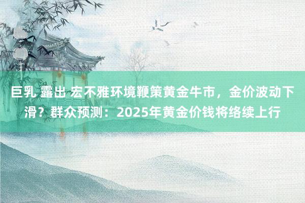 巨乳 露出 宏不雅环境鞭策黄金牛市，金价波动下滑？群众预测：2025年黄金价钱将络续上行