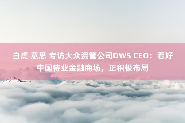 白虎 意思 专访大众资管公司DWS CEO：看好中国待业金融商场，正积极布局