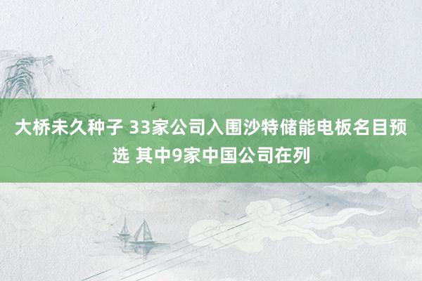 大桥未久种子 33家公司入围沙特储能电板名目预选 其中9家中国公司在列