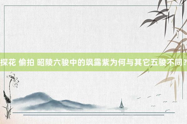 探花 偷拍 昭陵六骏中的飒露紫为何与其它五骏不同？