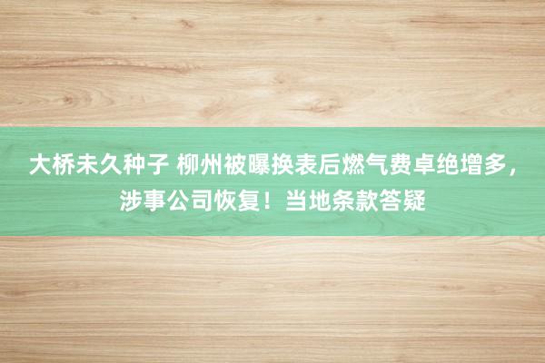 大桥未久种子 柳州被曝换表后燃气费卓绝增多，涉事公司恢复！当地条款答疑
