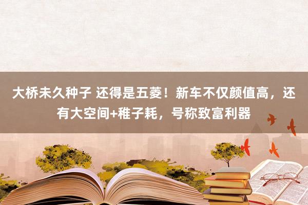 大桥未久种子 还得是五菱！新车不仅颜值高，还有大空间+稚子耗，号称致富利器