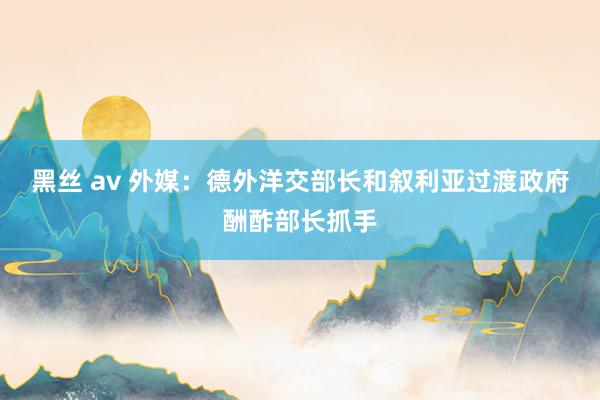 黑丝 av 外媒：德外洋交部长和叙利亚过渡政府酬酢部长抓手