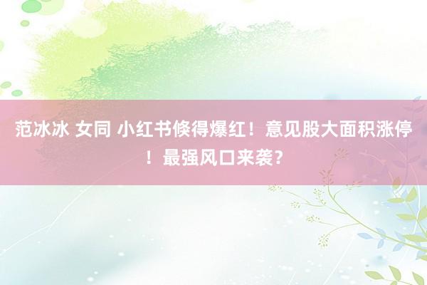 范冰冰 女同 小红书倏得爆红！意见股大面积涨停！最强风口来袭？