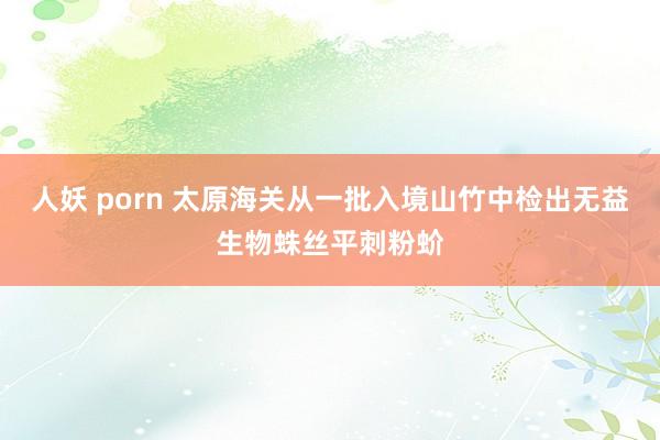 人妖 porn 太原海关从一批入境山竹中检出无益生物蛛丝平刺粉蚧