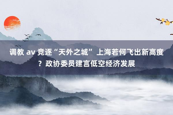 调教 av 竞逐“天外之城” 上海若何飞出新高度？政协委员建言低空经济发展