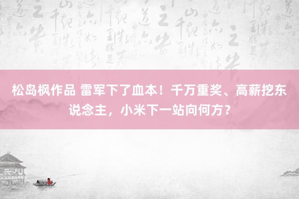 松岛枫作品 雷军下了血本！千万重奖、高薪挖东说念主，小米下一站向何方？