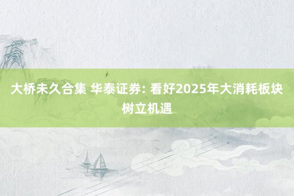 大桥未久合集 华泰证券: 看好2025年大消耗板块树立机遇