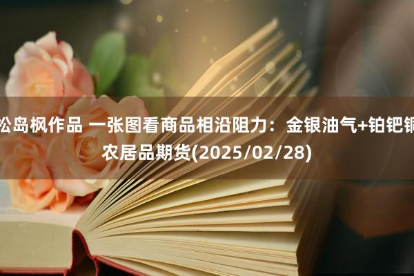 松岛枫作品 一张图看商品相沿阻力：金银油气+铂钯铜农居品期货(2025/02/28)