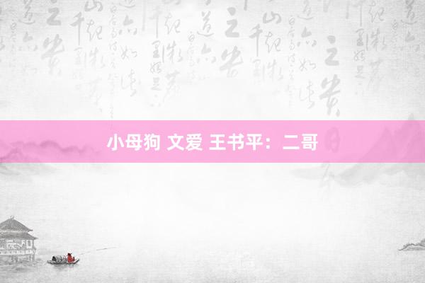 小母狗 文爱 王书平：二哥