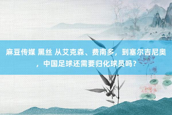 麻豆传媒 黑丝 从艾克森、费南多，到塞尔吉尼奥，中国足球还需要归化球员吗？