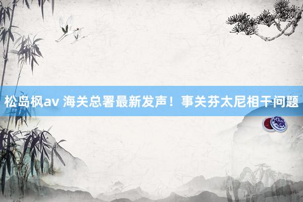 松岛枫av 海关总署最新发声！事关芬太尼相干问题