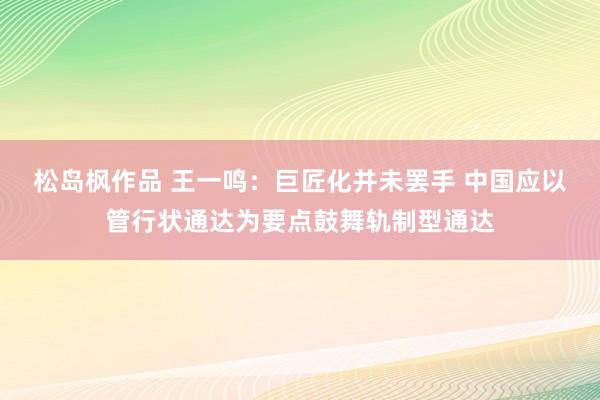 松岛枫作品 王一鸣：巨匠化并未罢手 中国应以管行状通达为要点鼓舞轨制型通达