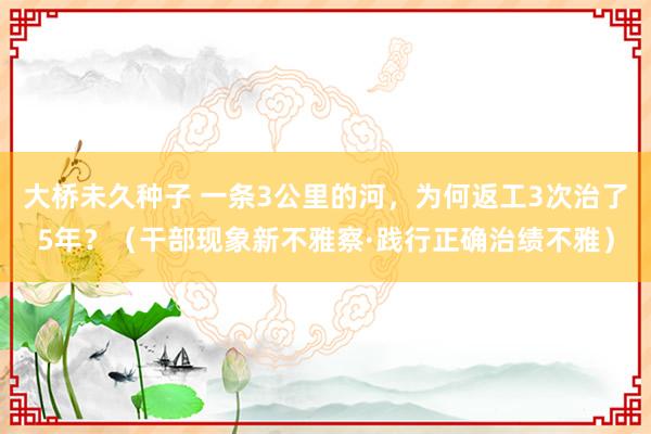 大桥未久种子 一条3公里的河，为何返工3次治了5年？（干部现象新不雅察·践行正确治绩不雅）
