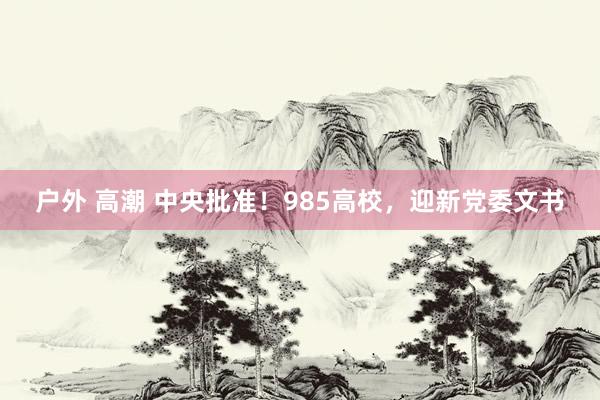 户外 高潮 中央批准！985高校，迎新党委文书