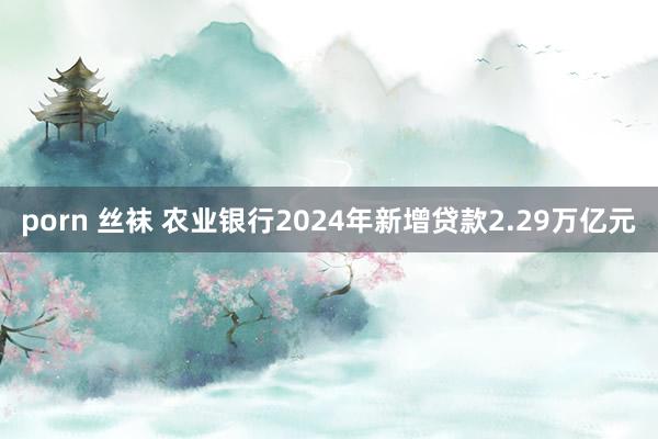 porn 丝袜 农业银行2024年新增贷款2.29万亿元
