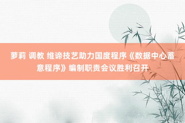 萝莉 调教 维谛技艺助力国度程序《数据中心蓄意程序》编制职责会议胜利召开