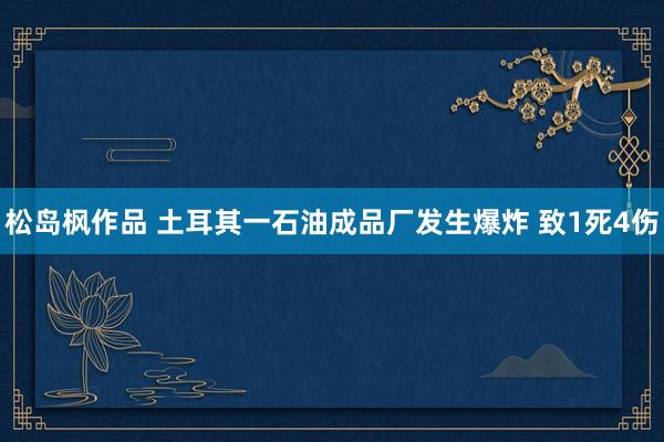 松岛枫作品 土耳其一石油成品厂发生爆炸 致1死4伤