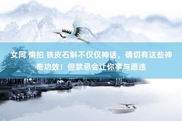 女同 偷拍 铁皮石斛不仅仅神话，确切有这些神奇功效！但禁忌会让你事与愿违