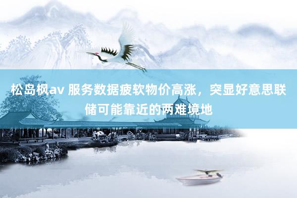 松岛枫av 服务数据疲软物价高涨，突显好意思联储可能靠近的两难境地