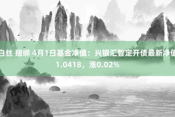 白丝 捆绑 4月1日基金净值：兴银汇智定开债最新净值1.0418，涨0.02%