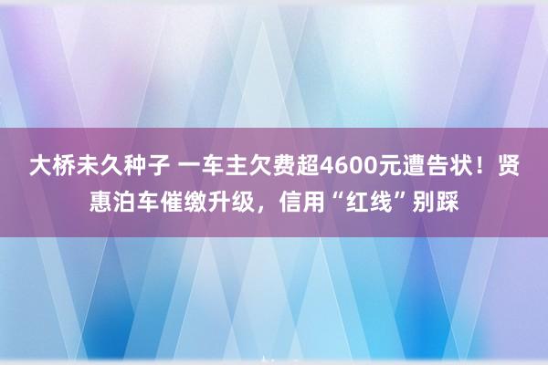 大桥未久种子 一车主欠费超4600元遭告状！贤惠泊车催缴升级，信用“红线”别踩