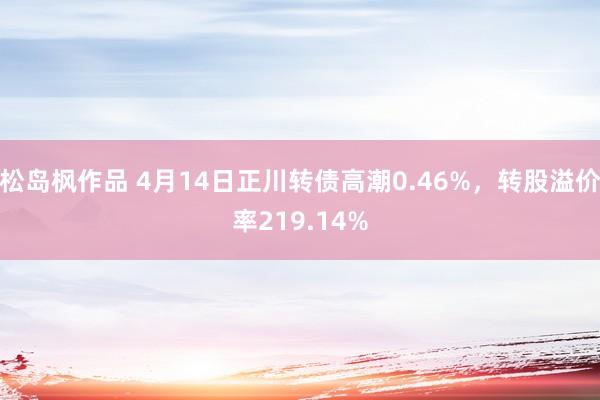 松岛枫作品 4月14日正川转债高潮0.46%，转股溢价率219.14%