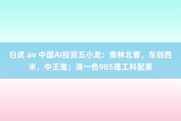 白虎 av 中国AI投资五小龙：南林北曹，东剑西米，中王淮；清一色985理工科配景