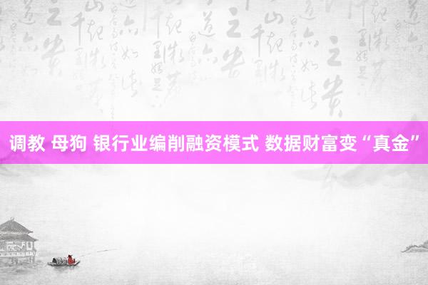 调教 母狗 银行业编削融资模式 数据财富变“真金”