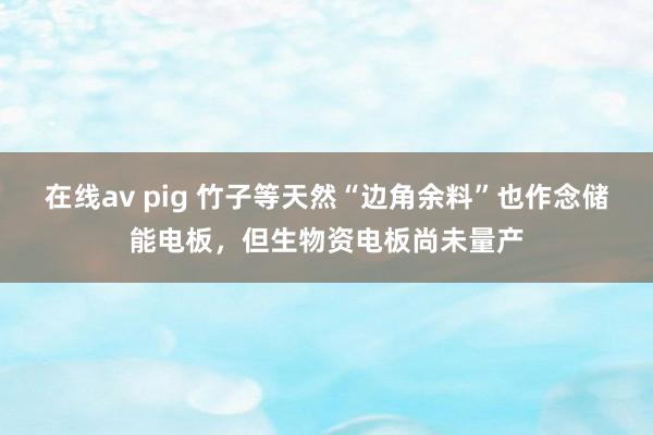 在线av pig 竹子等天然“边角余料”也作念储能电板，但生物资电板尚未量产