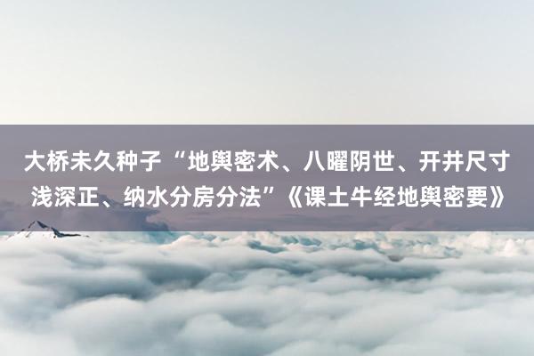 大桥未久种子 “地舆密术、八曜阴世、开井尺寸浅深正、纳水分房分法”《课土牛经地舆密要》