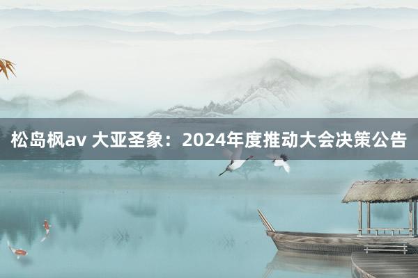 松岛枫av 大亚圣象：2024年度推动大会决策公告